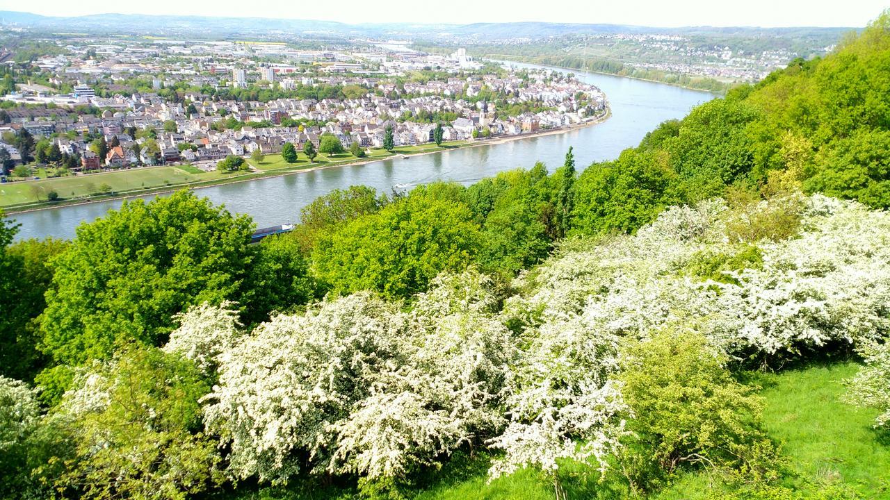 Hotel Ohm Patt Boppard Buitenkant foto